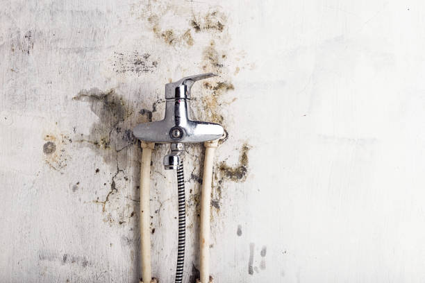 Best Water Damage Restoration  in Robinson, IL