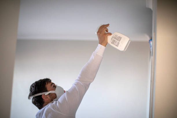 Robinson, IL Mold Removal Company