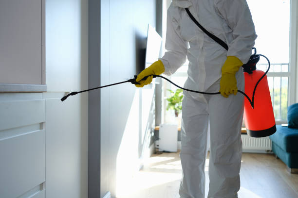 Best Home Mold Removal  in Robinson, IL