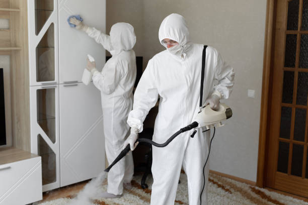 Best Mold Cleaning Services  in Robinson, IL
